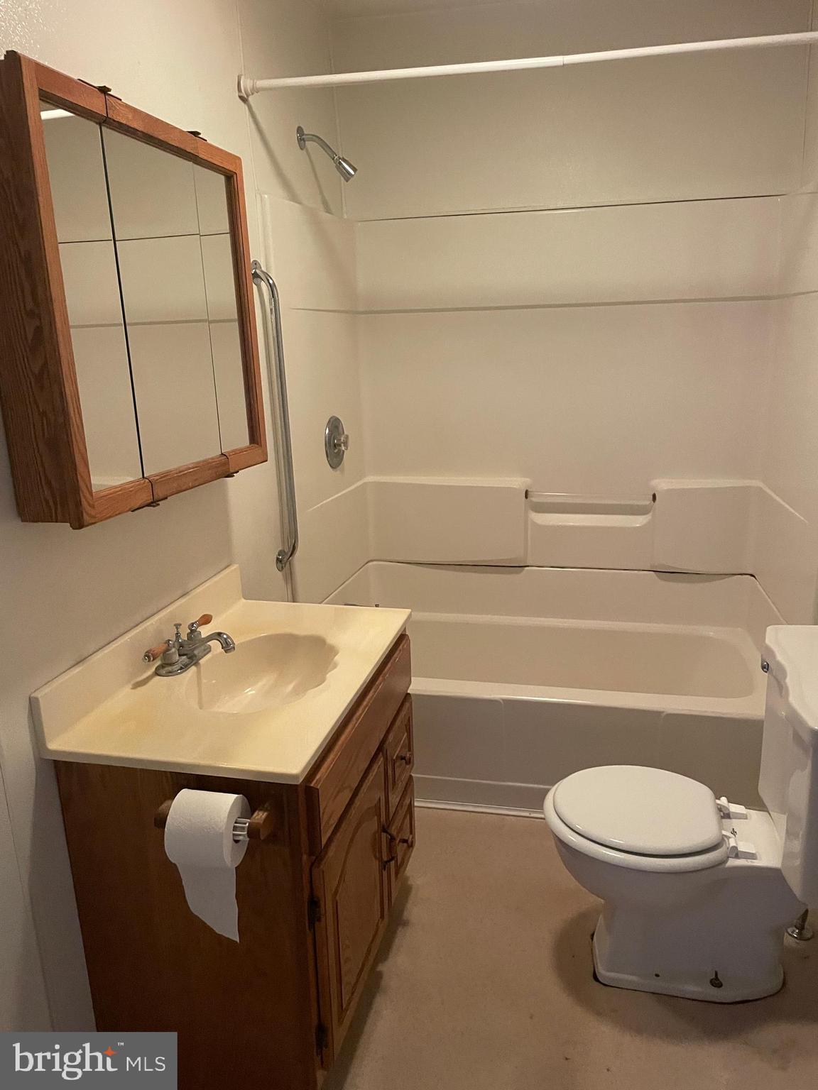 15607 Old Coney Cemetery Road Southwest Lonaconing, MD 21539 - Photo 18 of 34 a bathroom with a sink a toilet and shower