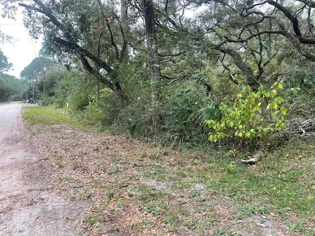 $29,000 | Xxx Alapaha Avenue, Panacea, FL 32346