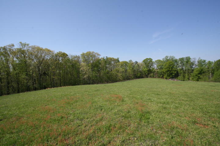 Peterson Road Greenback, TN 37742 - Photo 1 of 19 20170419205952842448000000-o