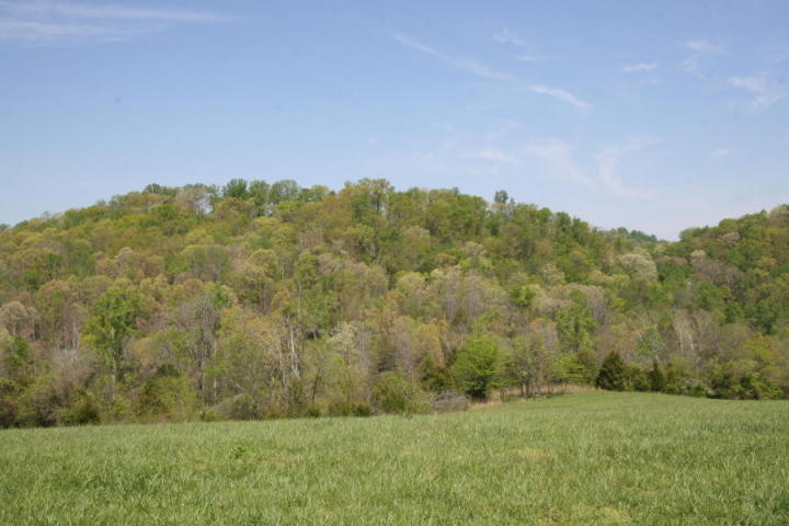 Peterson Road Greenback, TN 37742 - Photo 2 of 19 20170418174318767745000000-o