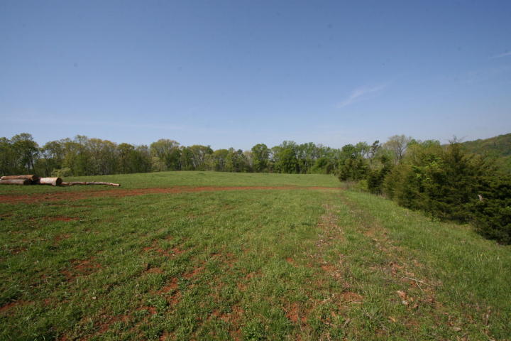 Peterson Road Greenback, TN 37742 - Photo 11 of 19 20170419205813304617000000-o