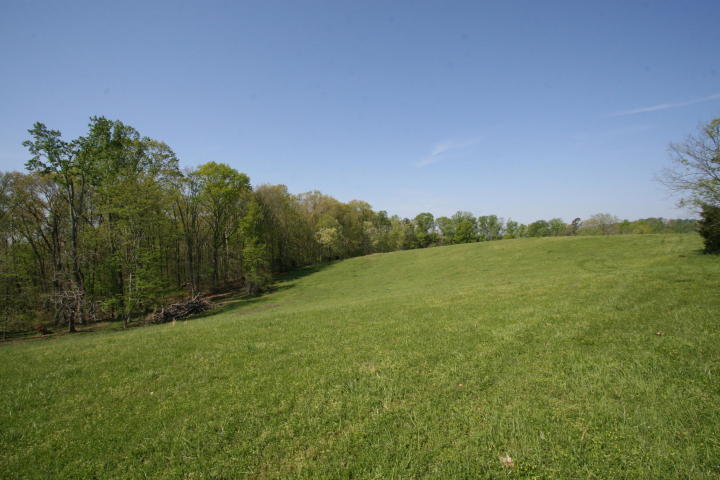 Peterson Road Greenback, TN 37742 - Photo 12 of 19 20170419205849134028000000-o