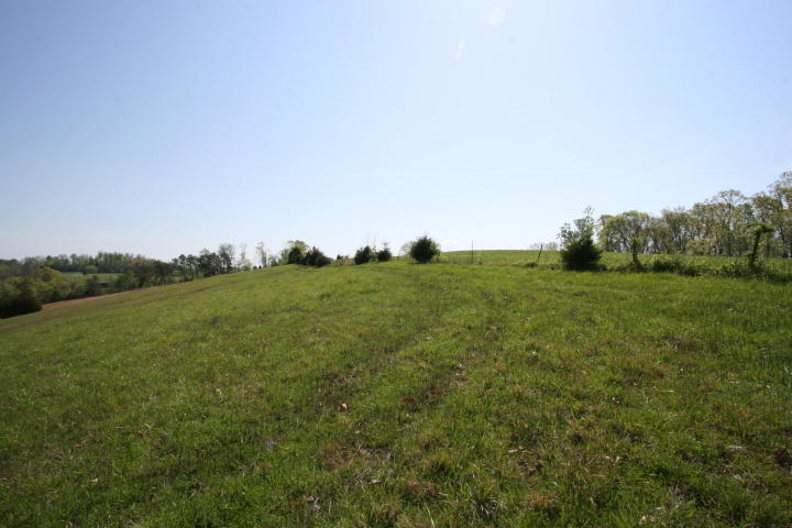 Peterson Road Greenback, TN 37742 - Photo 13 of 19 20170419210021737672000000-o