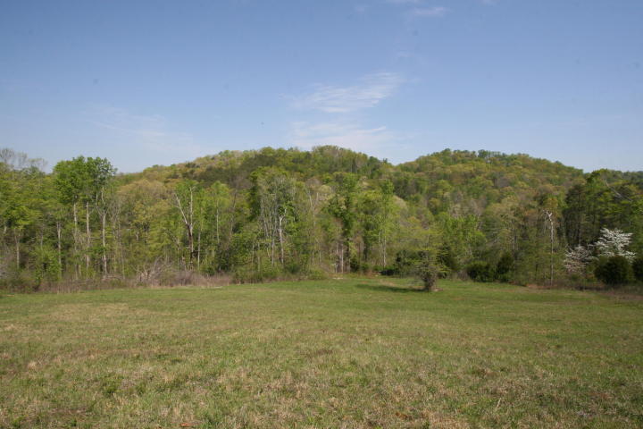 Peterson Road Greenback, TN 37742 - Photo 14 of 19 20170419210141355965000000-o