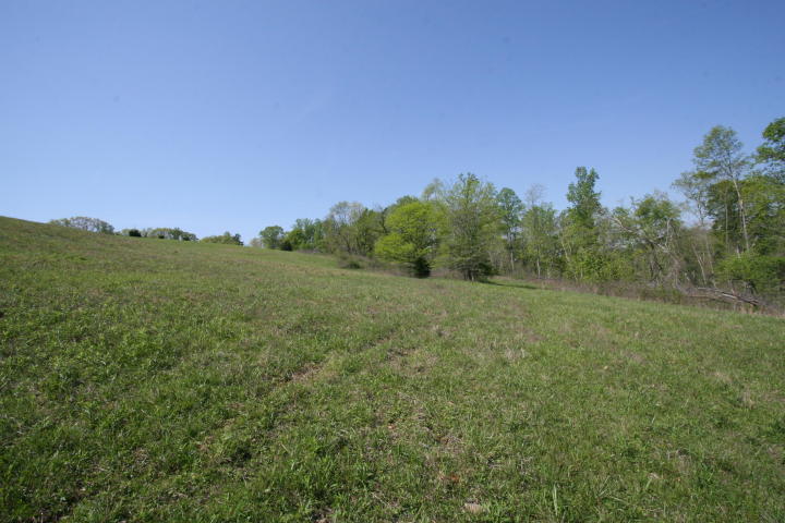 Peterson Road Greenback, TN 37742 - Photo 15 of 19 20170419210154083650000000-o