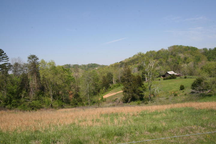Peterson Road Greenback, TN 37742 - Photo 16 of 19 20170419210204841086000000-o