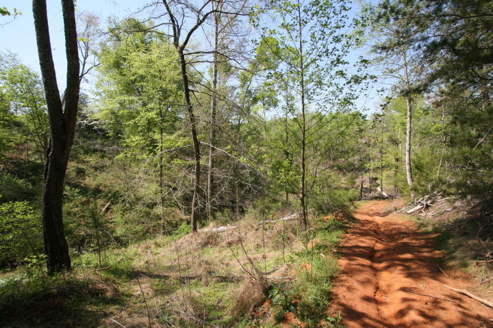 Peterson Road Greenback, TN 37742 - Photo 18 of 19 20170419210320150266000000-o