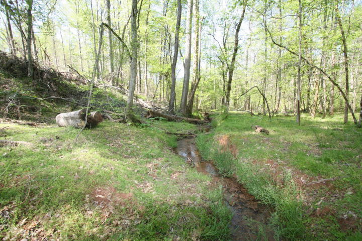 Peterson Road Greenback, TN 37742 - Photo 19 of 19 20170419210351917685000000-o