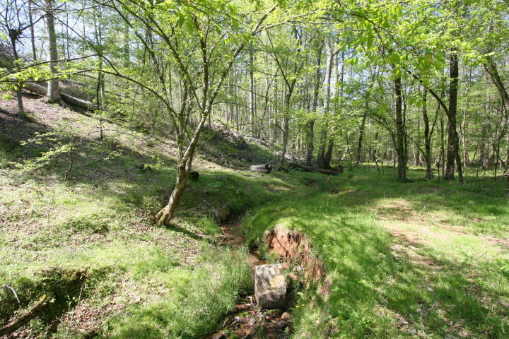 Peterson Road Greenback, TN 37742 - Photo 3 of 19 20170419210336655233000000-o