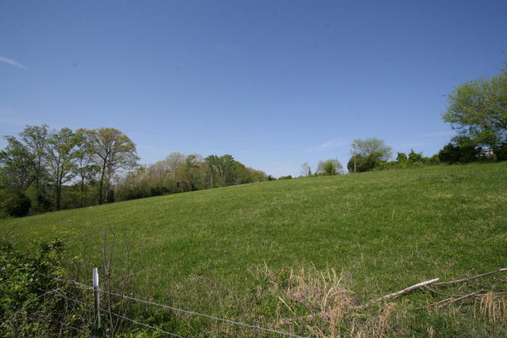 Peterson Road Greenback, TN 37742 - Photo 5 of 19 20170419205627319592000000-o