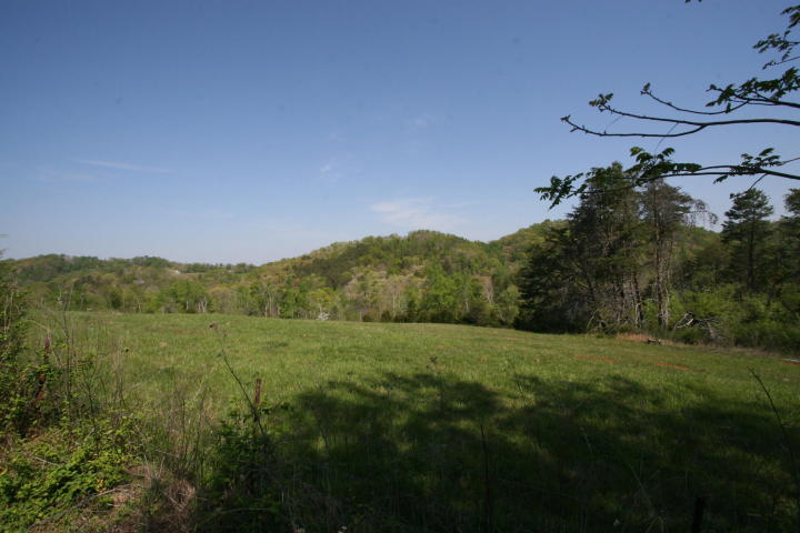 Peterson Road Greenback, TN 37742 - Photo 7 of 19 20170419205653133353000000-o