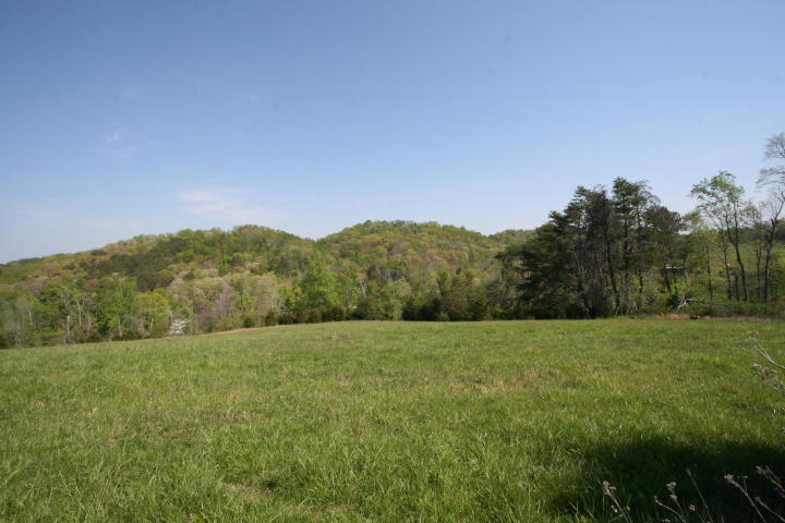 Peterson Road Greenback, TN 37742 - Photo 9 of 19 20170419205717013702000000-o