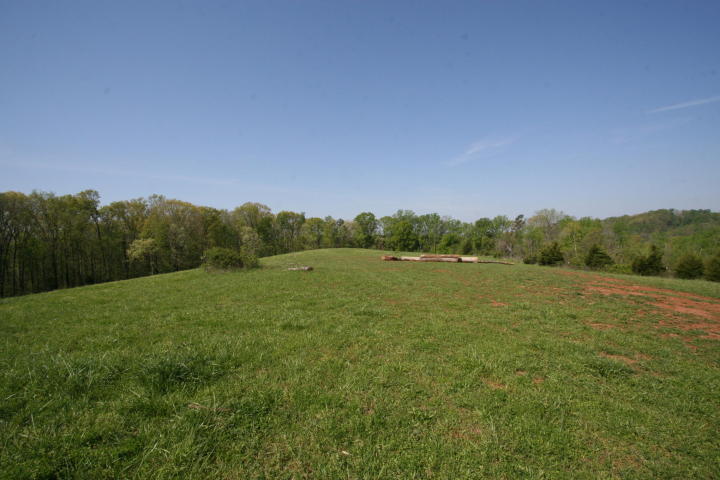 Peterson Road Greenback, TN 37742 - Photo 10 of 19 20170419205732356011000000-o