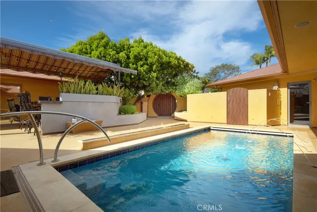 a view of a yard with plants and large trees