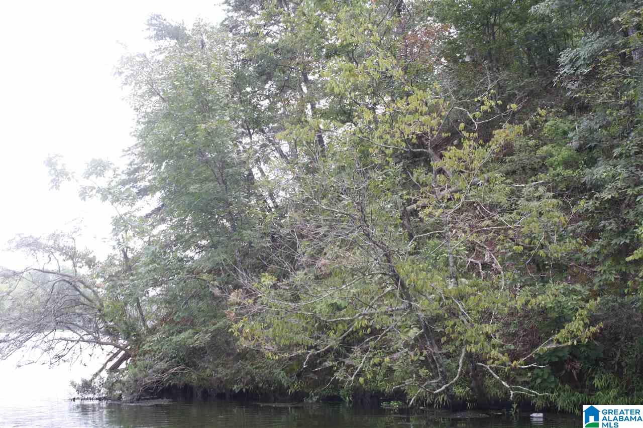Franklin Ferry Road, Unit 17 Oakman, AL 35579 - Photo 17 of 22