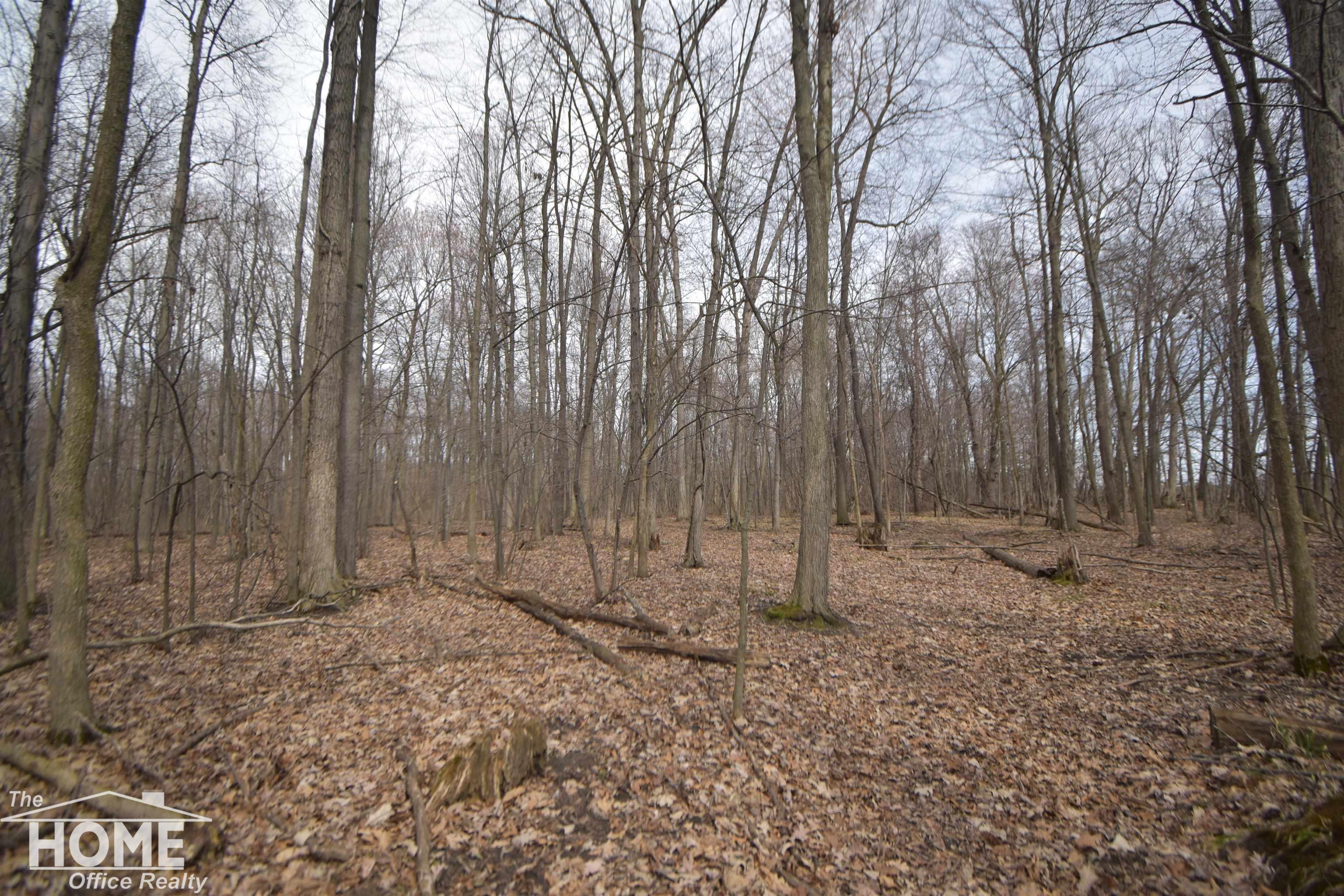 Vac Cork Road Bancroft, MI 48414 - Photo 13 of 46