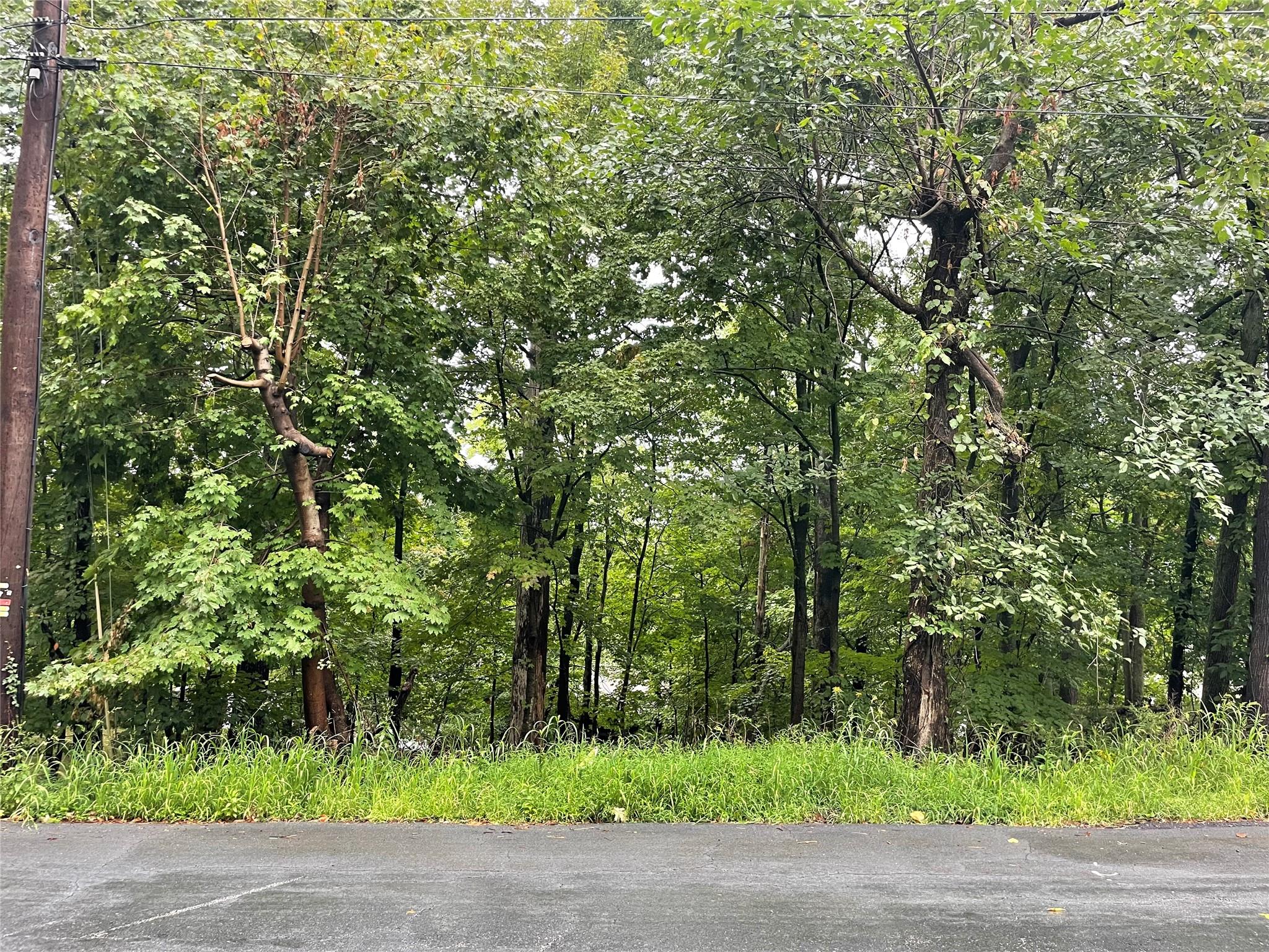 11 Olympus Road Woodbury, NY 10930 - Photo 2 of 4 View from street