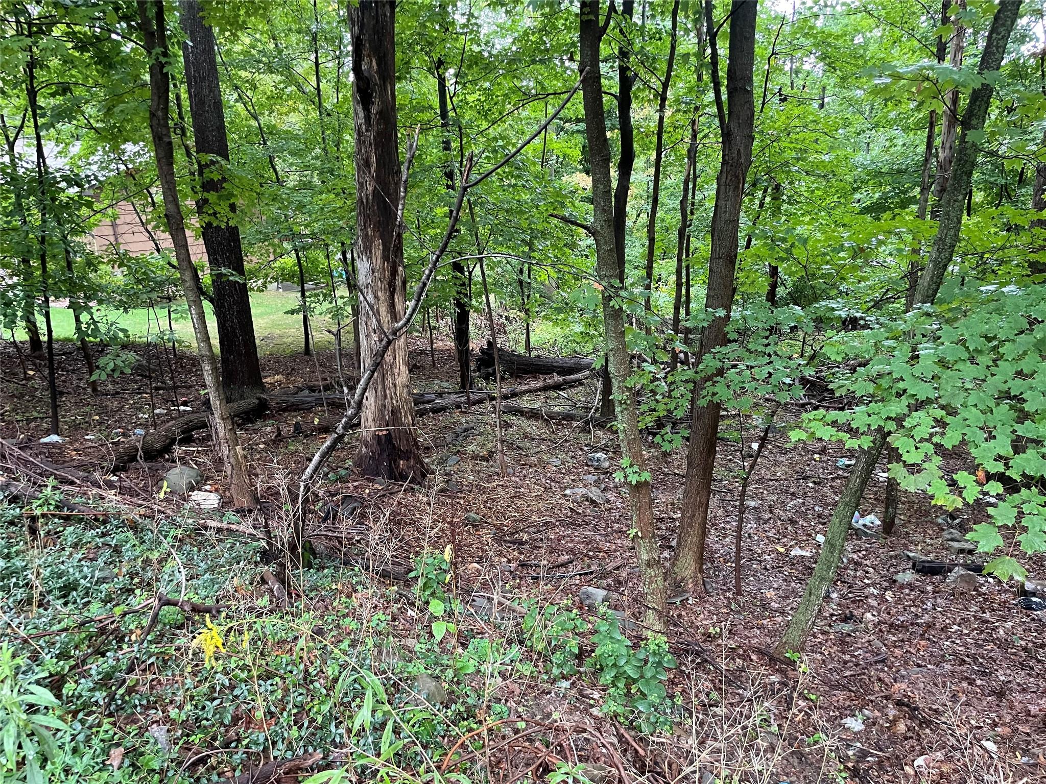 11 Olympus Road Woodbury, NY 10930 - Photo 4 of 4 View from the lot