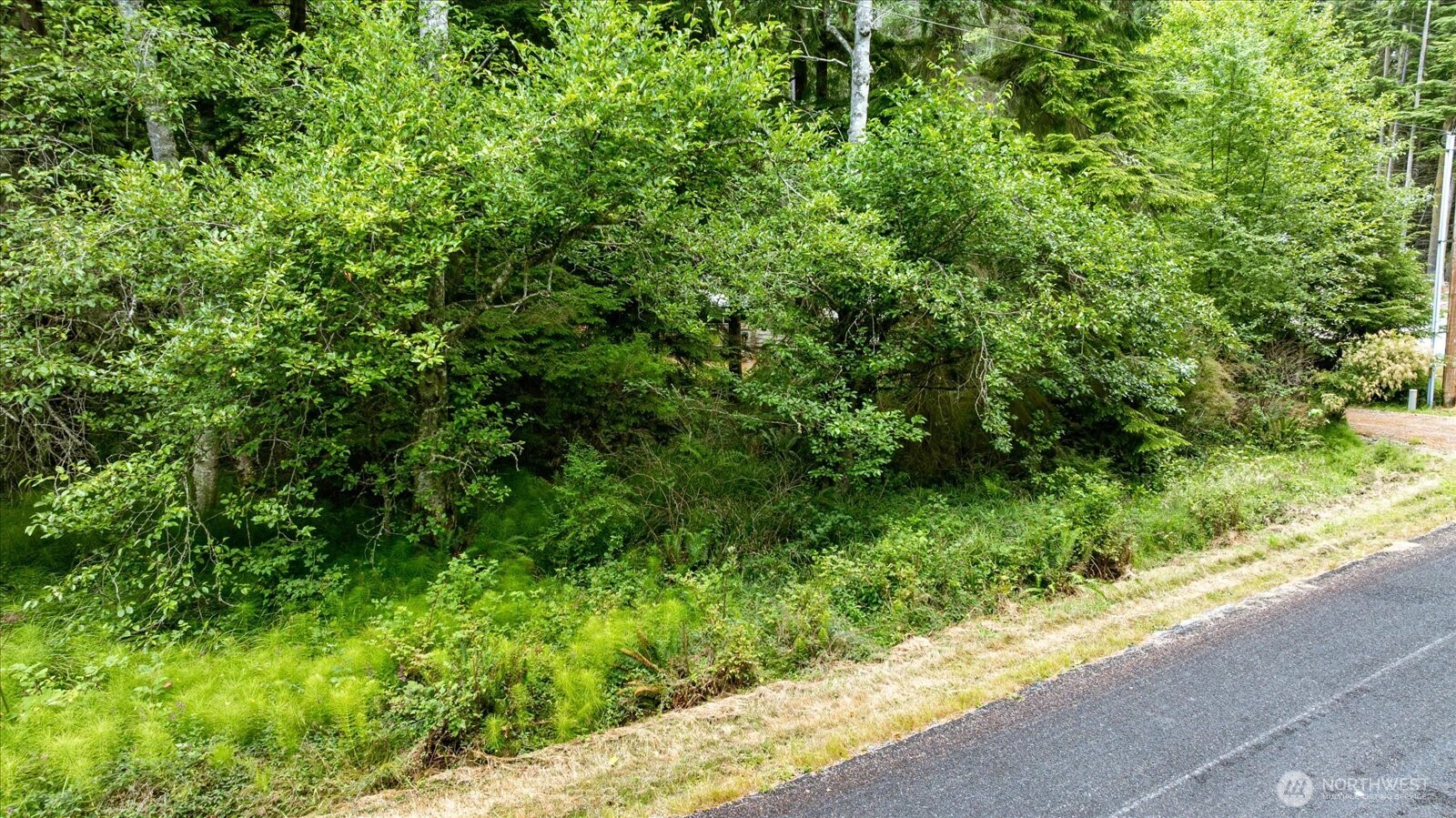 3086 Spahr Road Greenbank, WA 98253 - Photo 6 of 20 Gallery Image 6