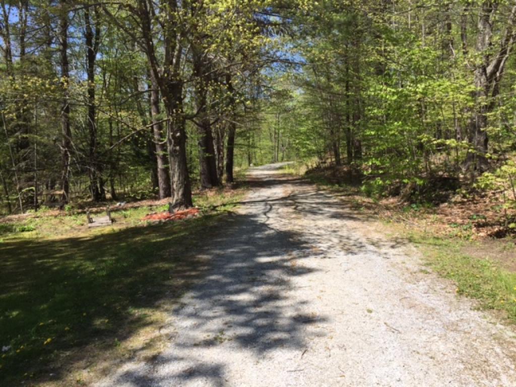 52 Nelson Road Shrewsbury, VT 05738 - Photo 3 of 31
