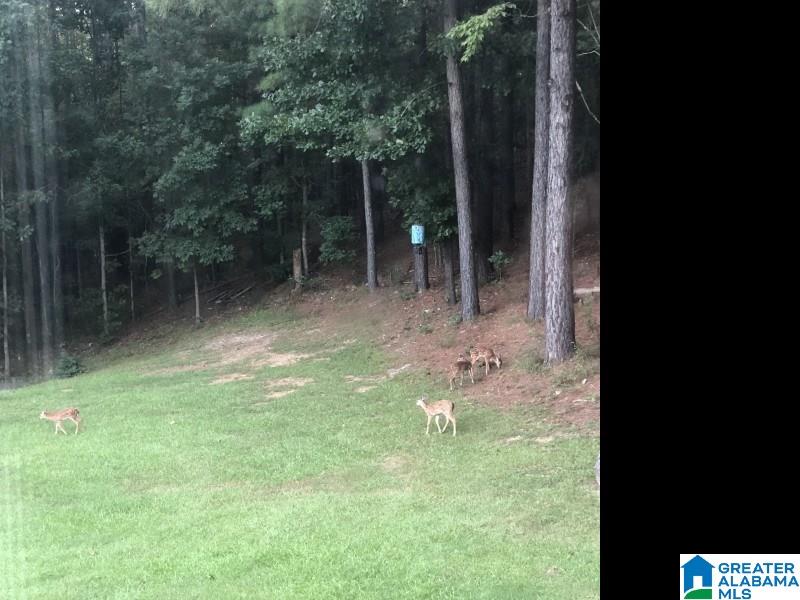 102 Windsor Trail Pelham, AL 35124 - Photo 27 of 28