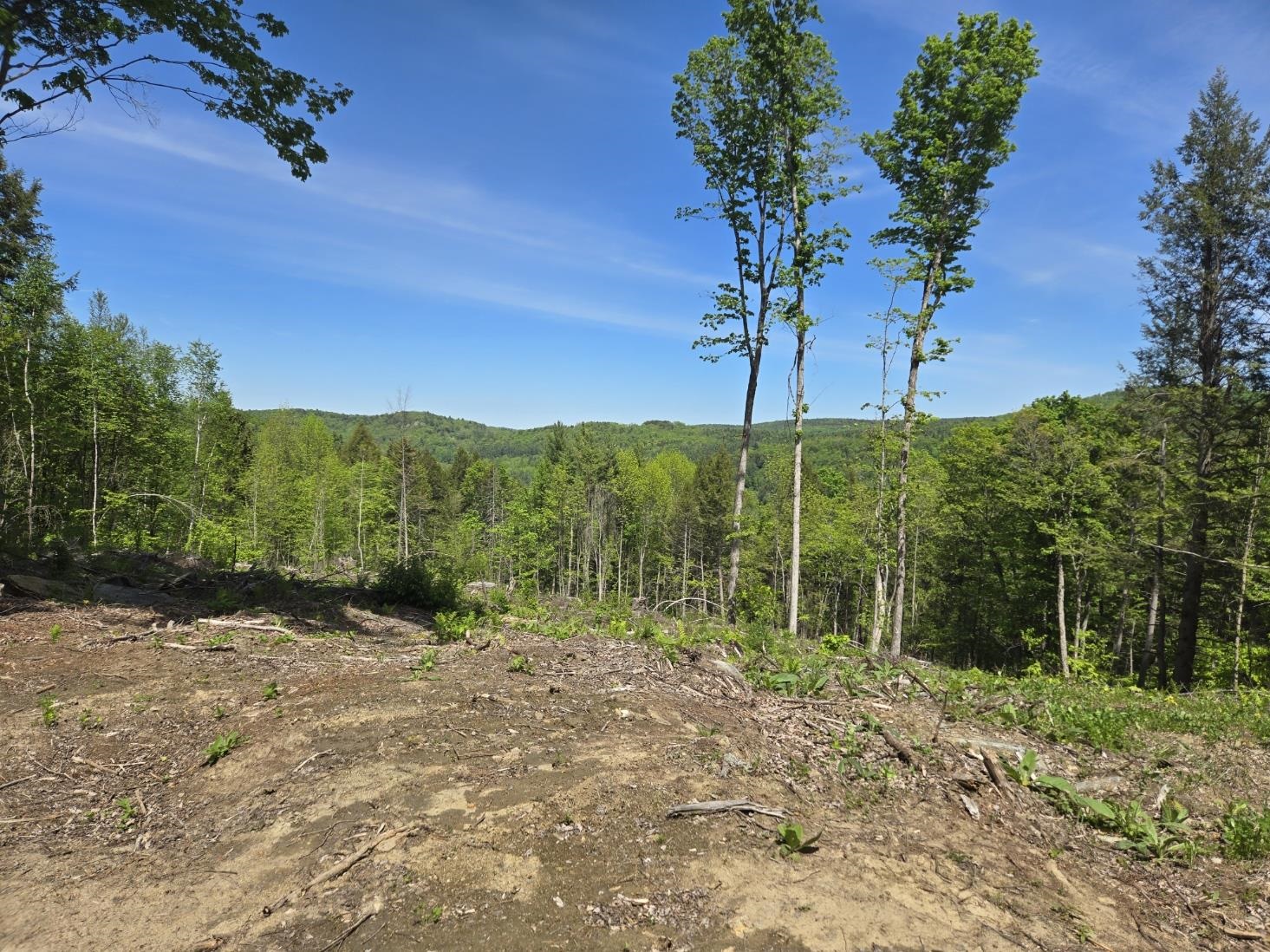 0 Vt Route, Unit LOT 1 Bethel, VT 05032 - Photo 5 of 10