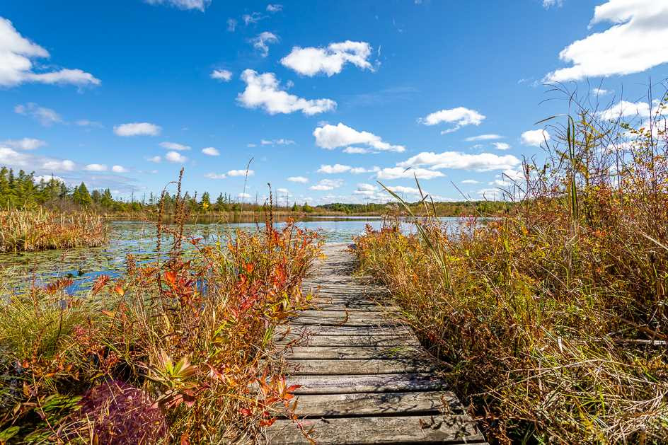 8285 South Jackson Road Clarklake, MI 49234 - Photo 8 of 50 Photo 8