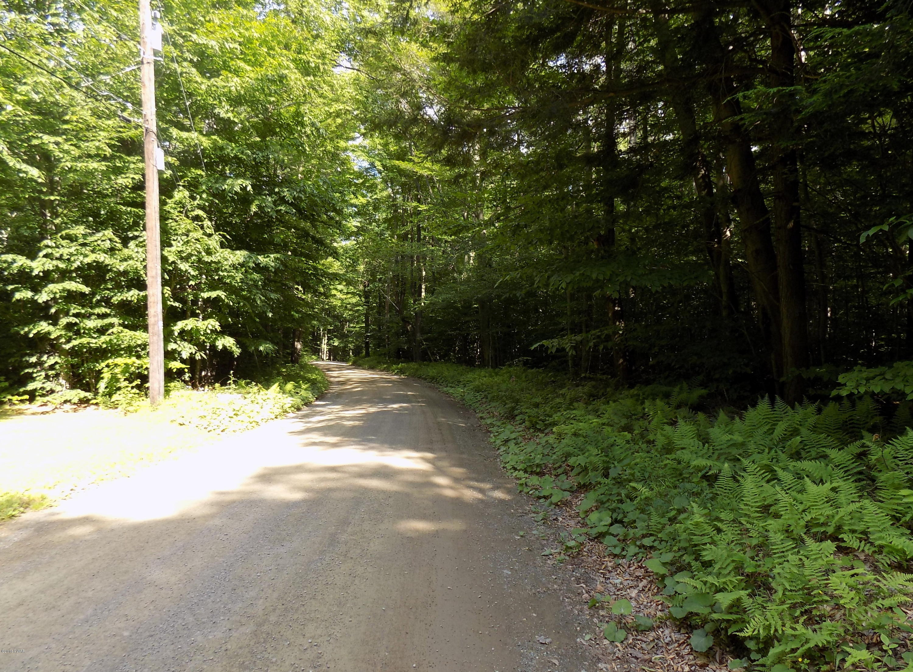 196 Huckleberry Road Newfoundland, PA 18445 - Photo 2 of 6