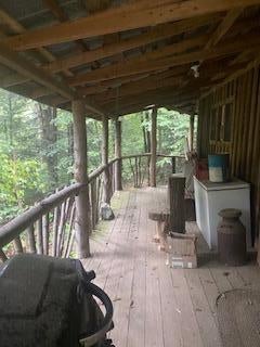 Polemic Run Road Sutton, WV 26601 - Photo 25 of 29 Gallery Image 25