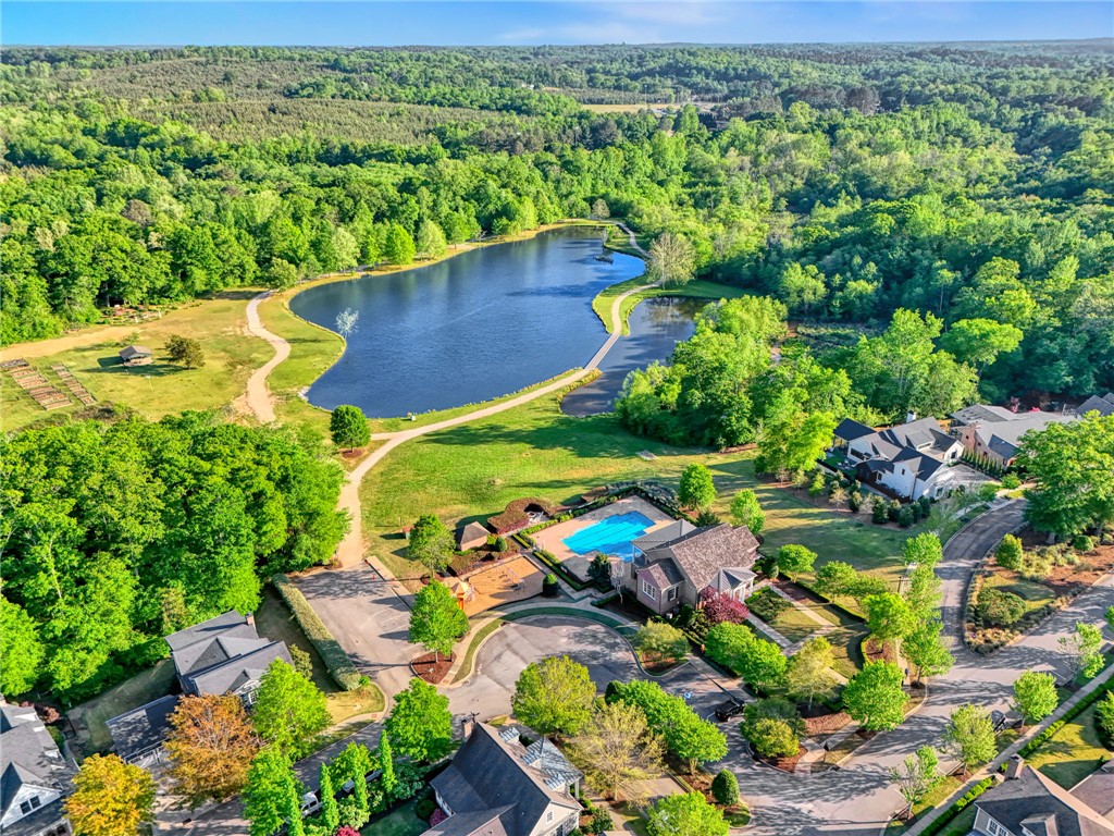 308 Pershing Avenue Clemson, SC 29631 - Photo 31 of 31 This elevated view captures a serene pond, lush trees, and houses with a community pool.