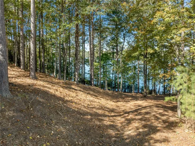 $6,395,000 | 149 Bright Water Trail, Six Mile, SC 29682