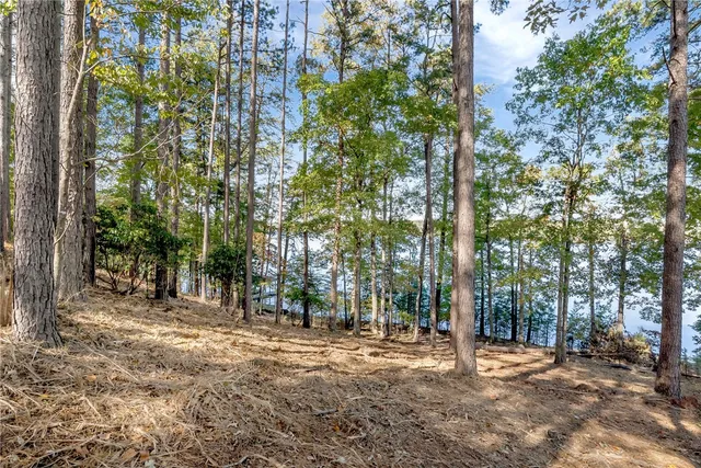$6,395,000 | 149 Bright Water Trail, Six Mile, SC 29682
