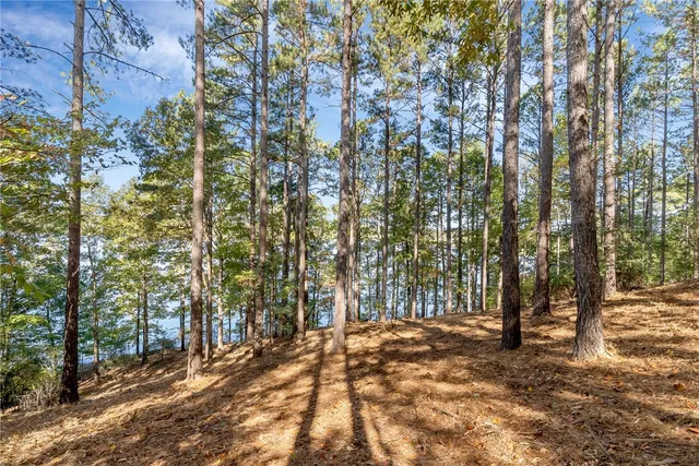 $6,395,000 | 149 Bright Water Trail, Six Mile, SC 29682