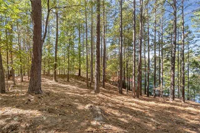 $6,395,000 | 149 Bright Water Trail, Six Mile, SC 29682