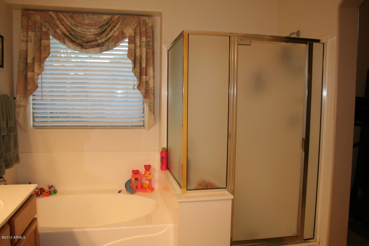 3847 East Simpson Road Gilbert, AZ 85297 - Photo 19 of 35 Master Bath separate shower garden tub