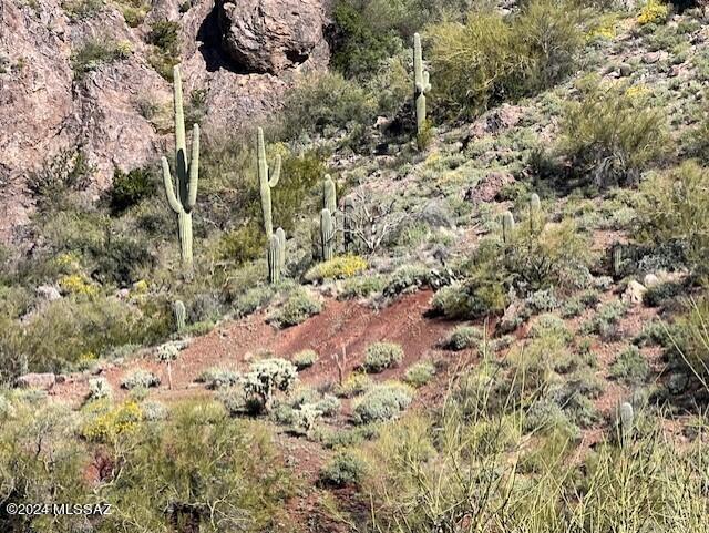 0 Jeffords Mine Road Marana, AZ 85658 - Photo 3 of 11