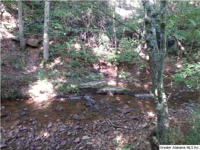 455 County Road, Unit 53 Woodland, AL 36280 - Photo 2 of 21