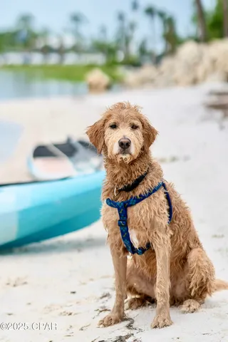 $379,900 | 525 Eighth Street, Port St. Joe, FL 32456