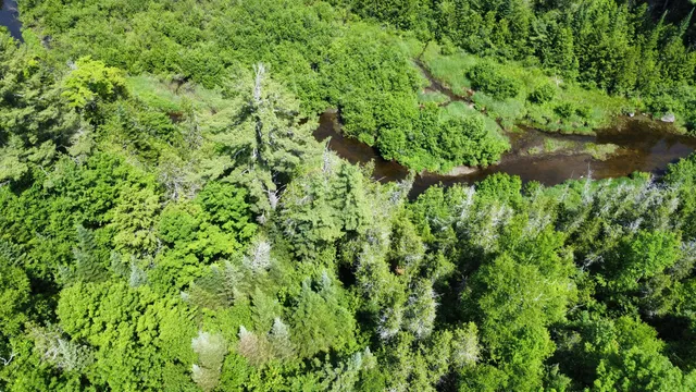 $45,545 | Lot U County Road, New Limerick, ME 04761