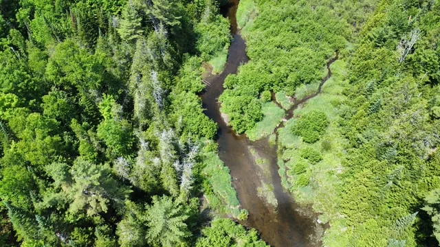 $45,545 | Lot U County Road, New Limerick, ME 04761