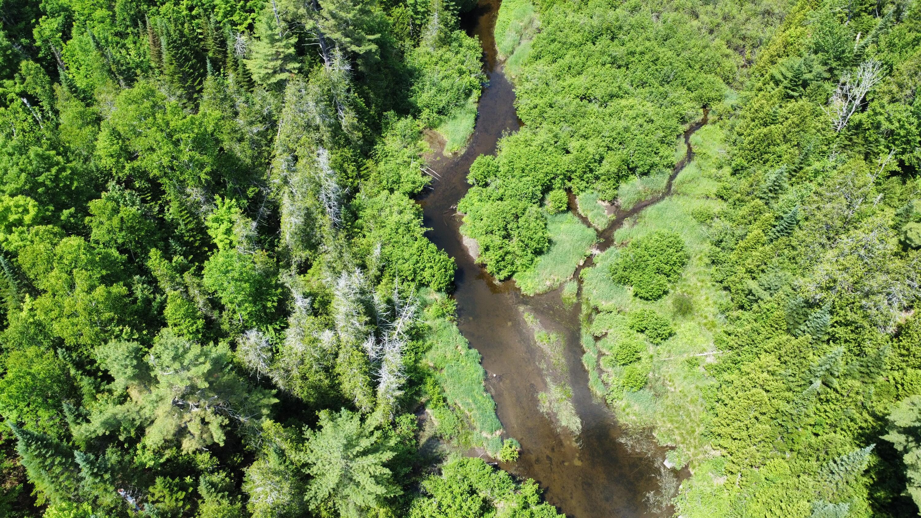 Lot U County Road New Limerick, ME 04761 - Photo 13 of 15 dji_fly_20250624_112226_85_1750778588551