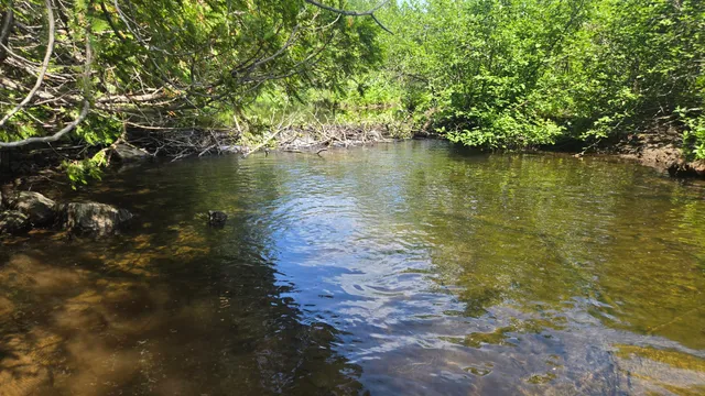 $45,545 | Lot U County Road, New Limerick, ME 04761