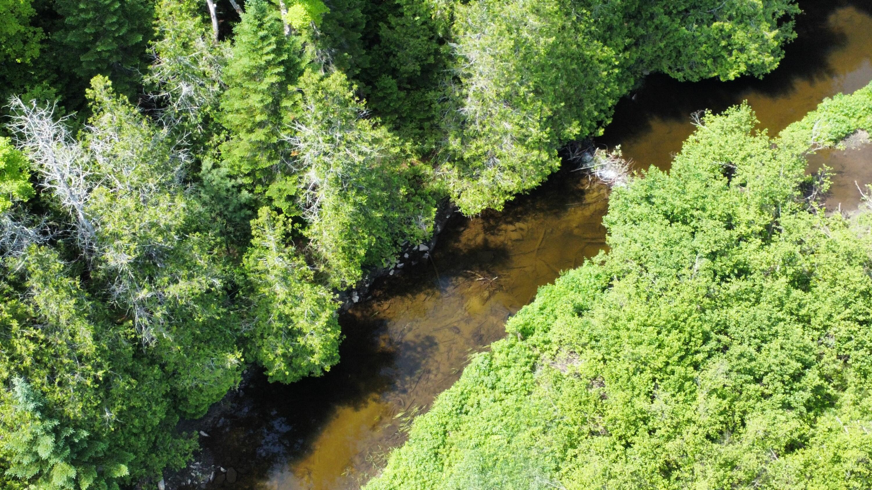 Lot U County Road New Limerick, ME 04761 - Photo 2 of 15 dji_fly_20250624_112414_90_1750778680007
