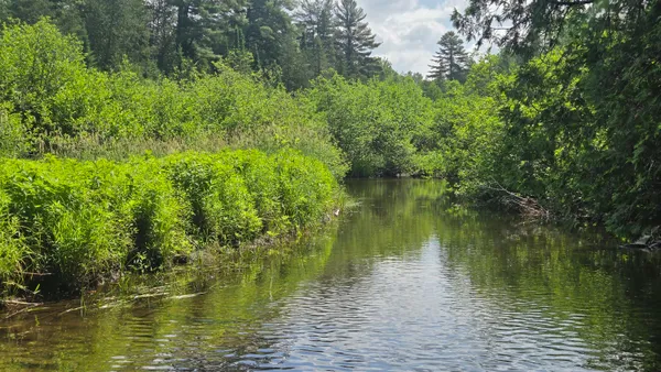 $45,545 | Lot U County Road, New Limerick, ME 04761