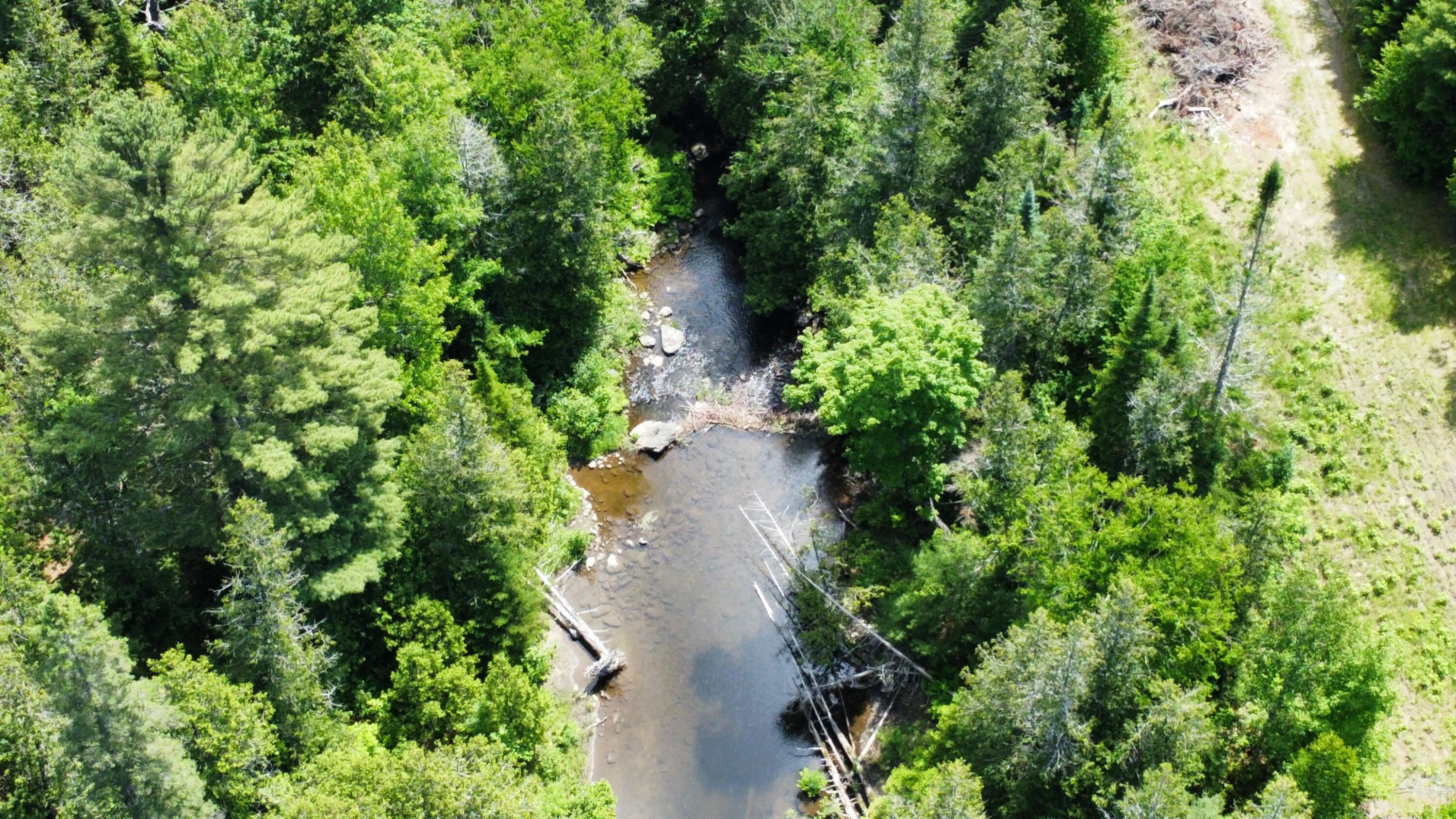 Lot U County Road New Limerick, ME 04761 - Photo 4 of 15 dji_fly_20250624_112434_93_1750778690753