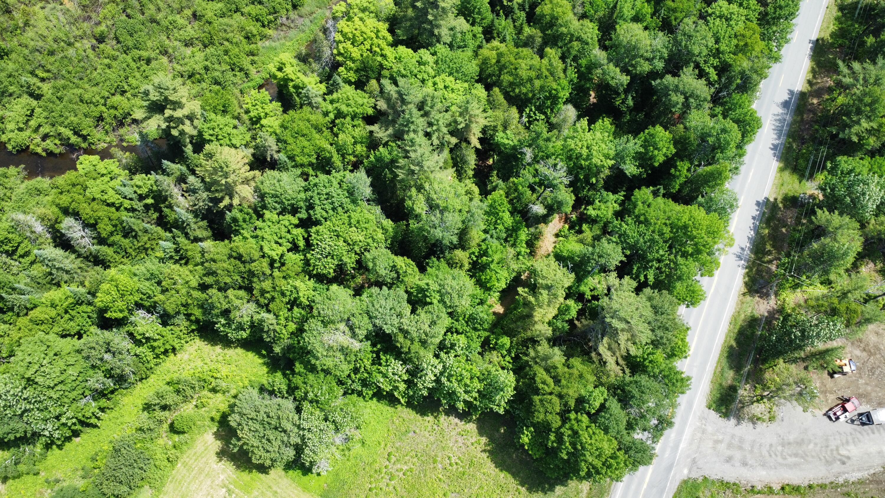 Lot U County Road New Limerick, ME 04761 - Photo 7 of 15 dji_fly_20250624_111950_78_1750778476672