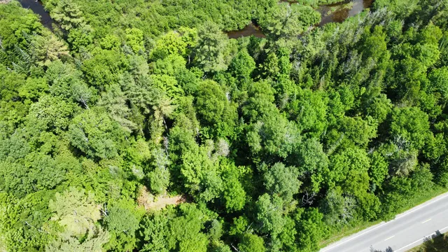 $45,545 | Lot U County Road, New Limerick, ME 04761