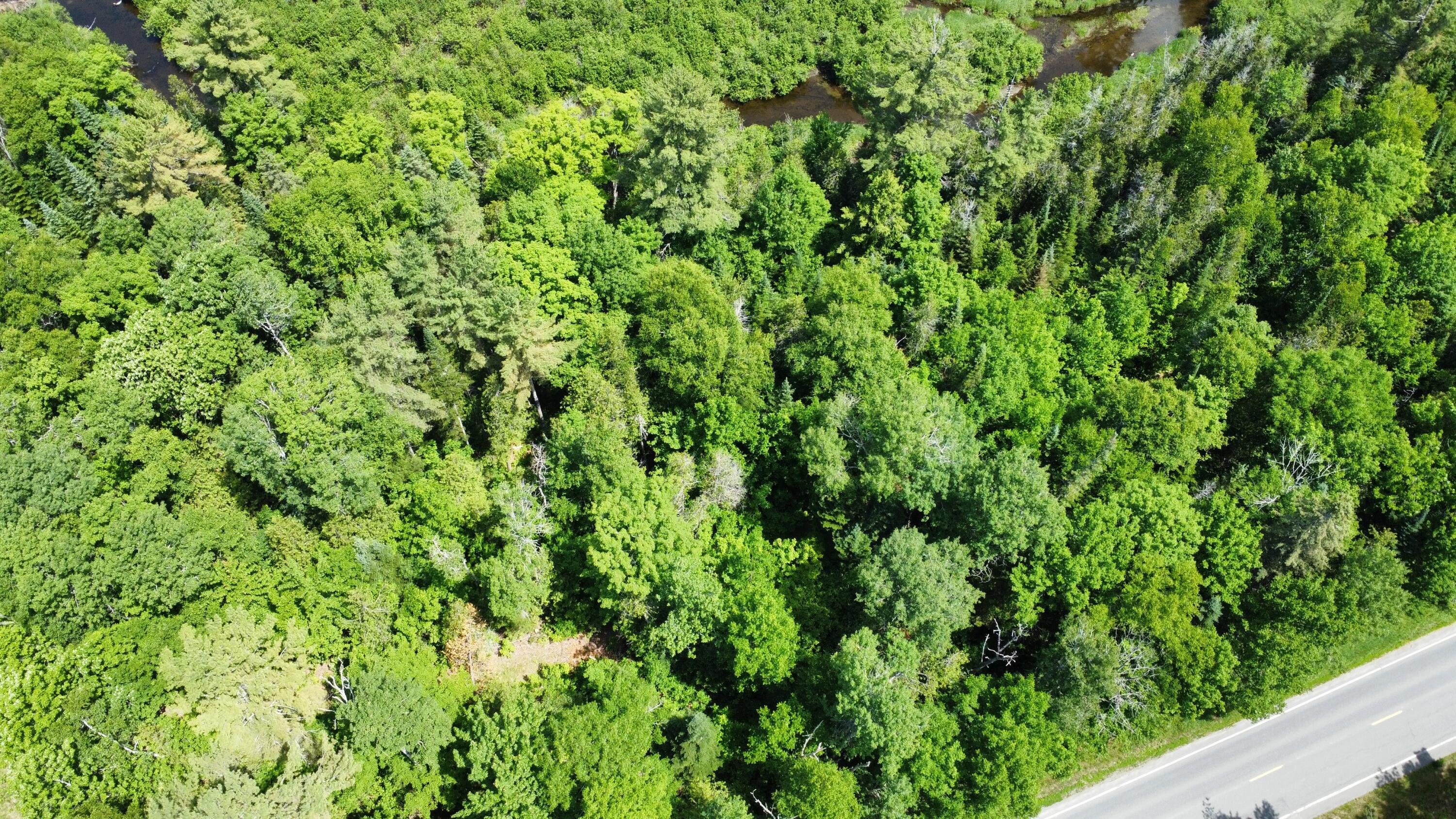 Lot U County Road New Limerick, ME 04761 - Photo 8 of 15 dji_fly_20250624_111934_77_1750778490328