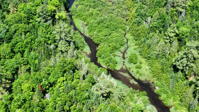 $45,545 | Lot U County Road, New Limerick, ME 04761