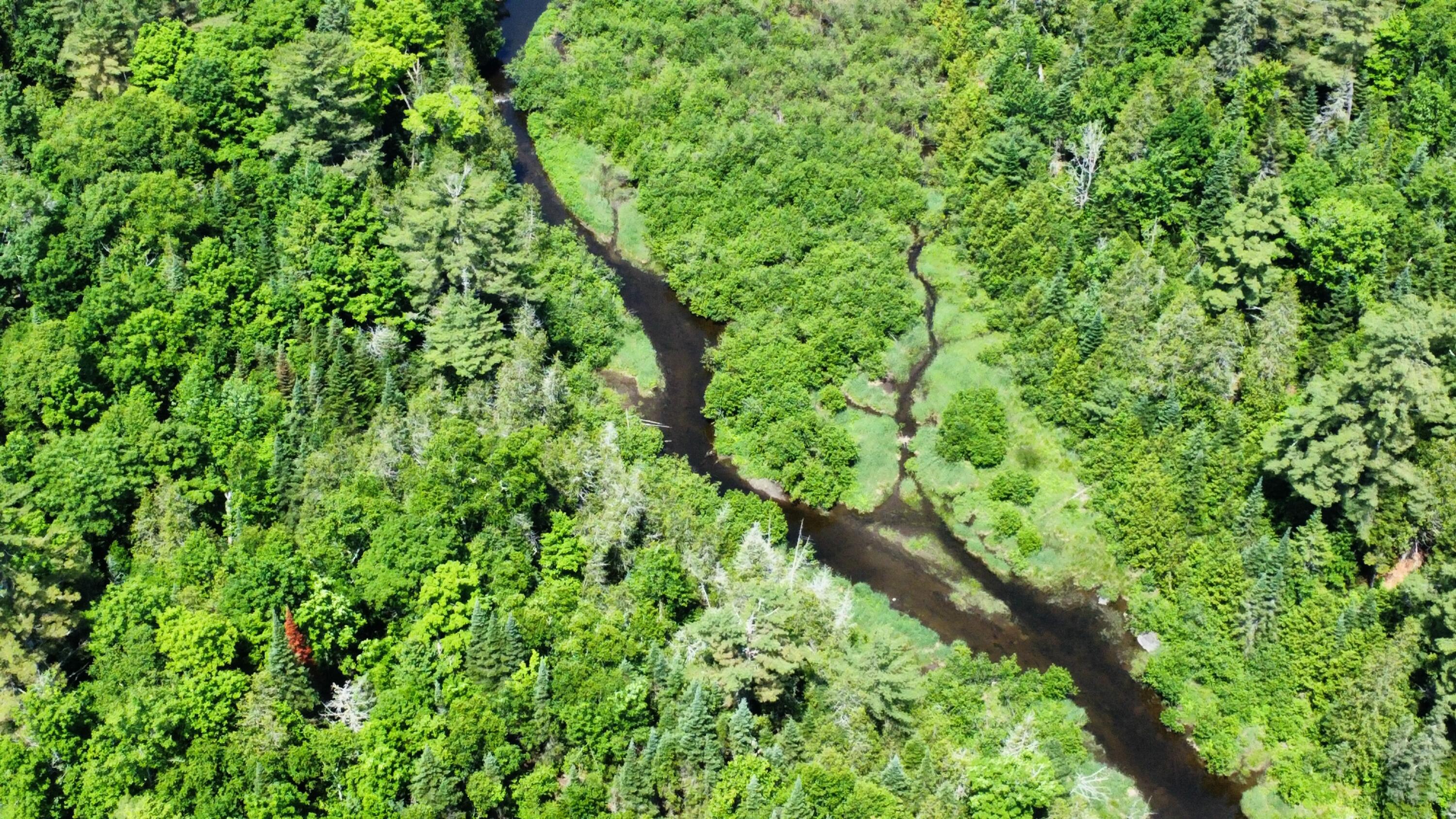 Lot U County Road New Limerick, ME 04761 - Photo 9 of 15 dji_fly_20250624_111808_72_1750778330592